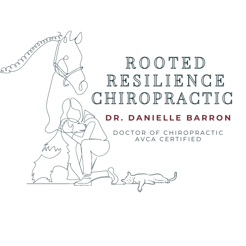 Rooted Resilience Chiropractic Logo